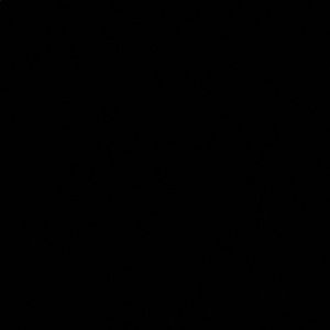 Meet your Posher, Xavier